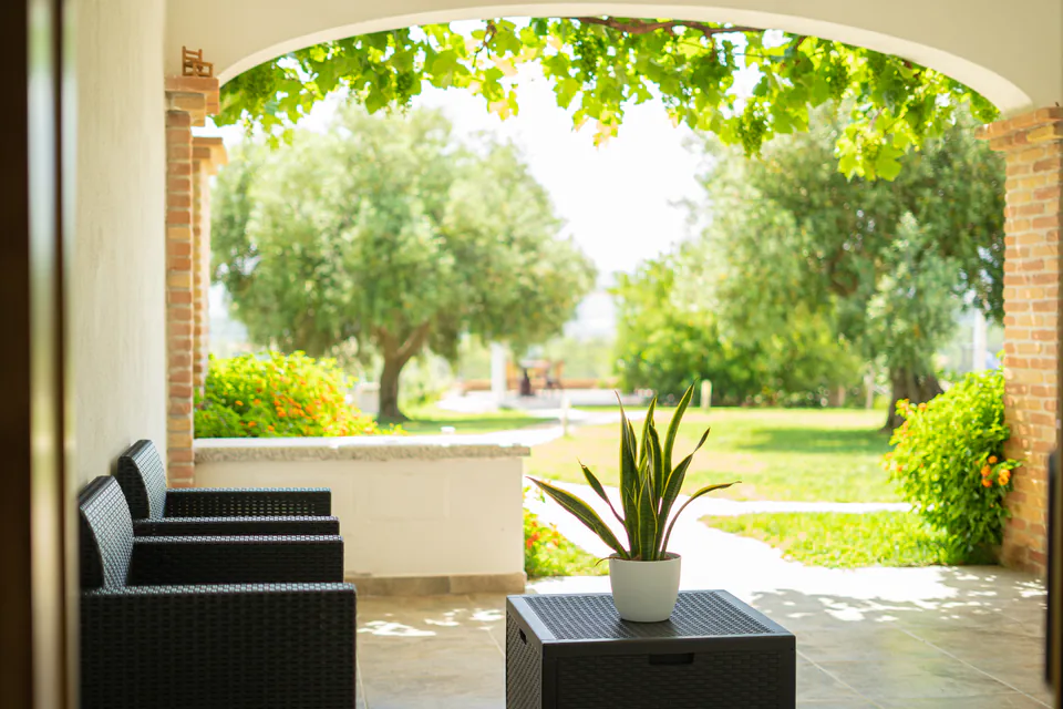 L’arco della veranda che si apre sugli olivi