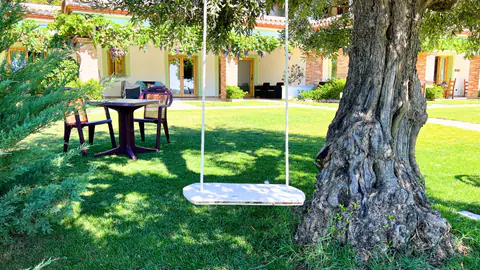 L’olivo del giardino