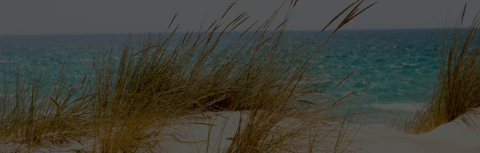Le dune con l’erba al vento davanti al mare